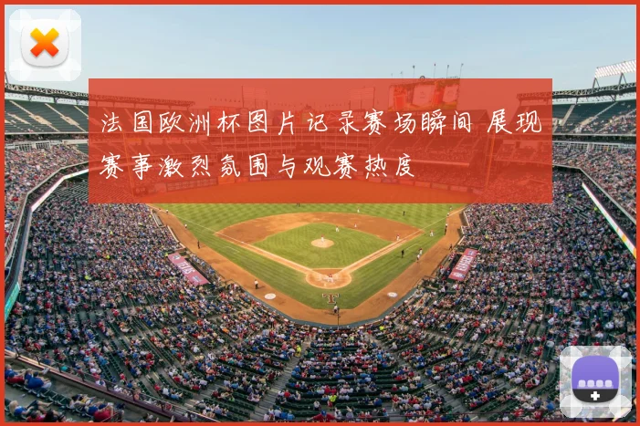 法国欧洲杯图片记录赛场瞬间 展现赛事激烈氛围与观赛热度