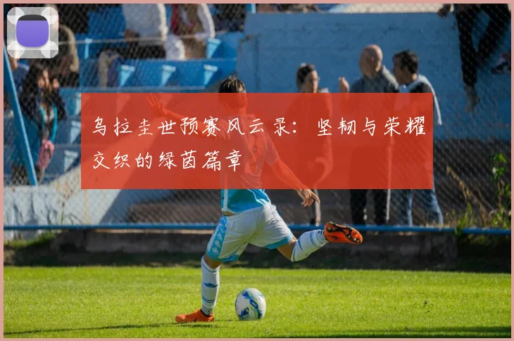 乌拉圭世预赛风云录：坚韧与荣耀交织的绿茵篇章