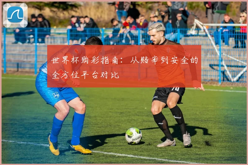 世界杯购彩指南：从赔率到安全的全方位平台对比