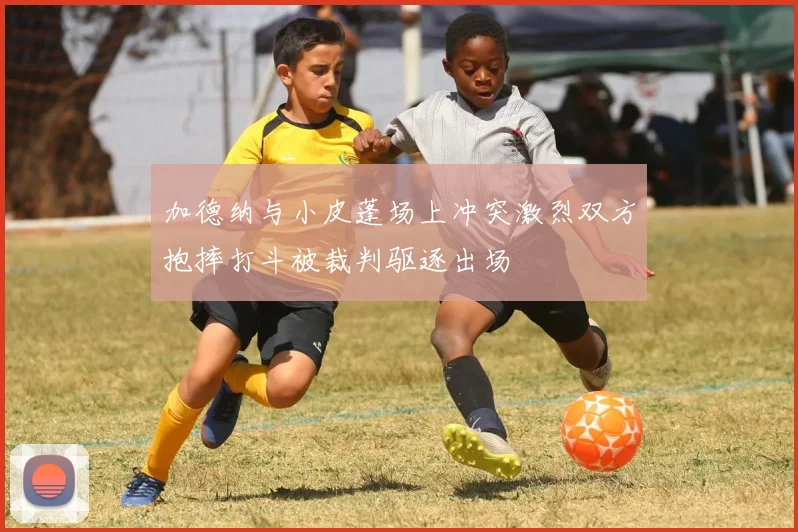 加德纳与小皮蓬场上冲突激烈双方抱摔打斗被裁判驱逐出场