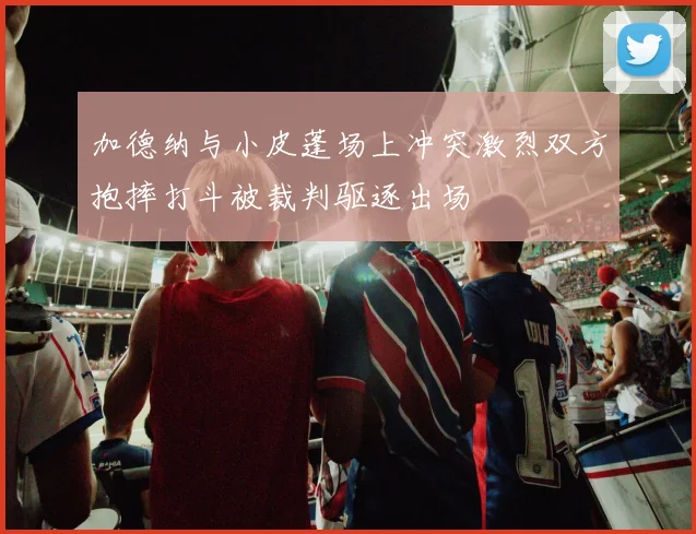 加德纳与小皮蓬场上冲突激烈双方抱摔打斗被裁判驱逐出场