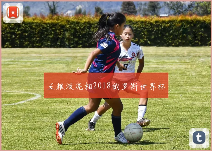 五粮液亮相2018俄罗斯世界杯