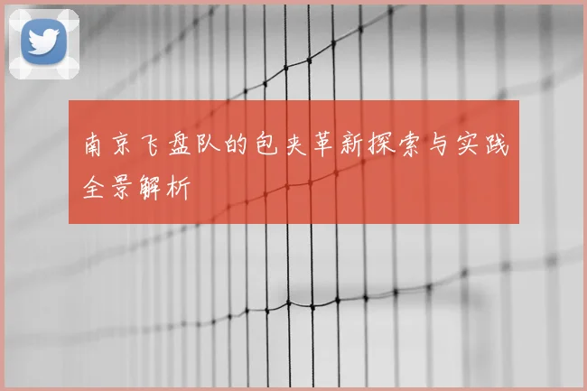 南京飞盘队的包夹革新探索与实践全景解析