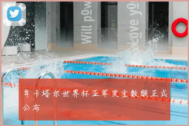 年卡塔尔世界杯亚军奖金数额正式公布