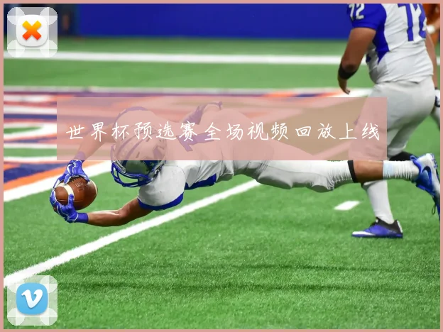 世界杯预选赛全场视频回放上线