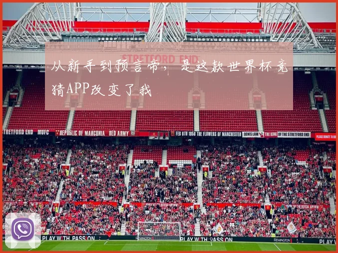 从新手到预言帝,是这款世界杯竞猜APP改变了我