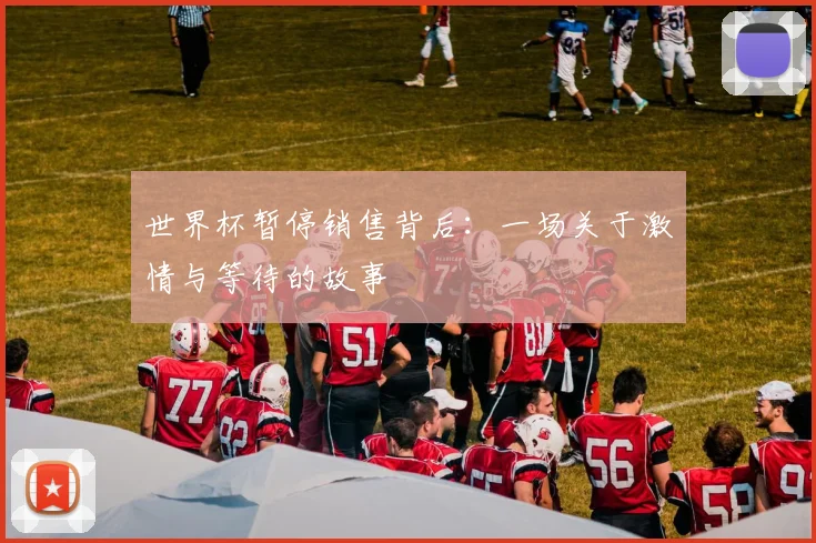世界杯暂停销售背后：一场关于激情与等待的故事