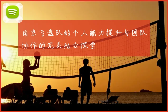 南京飞盘队的个人能力提升与团队协作的完美结合探索