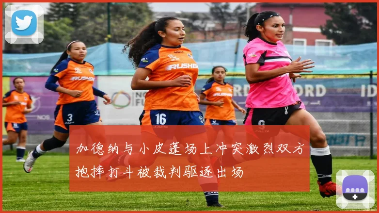 加德纳与小皮蓬场上冲突激烈双方抱摔打斗被裁判驱逐出场