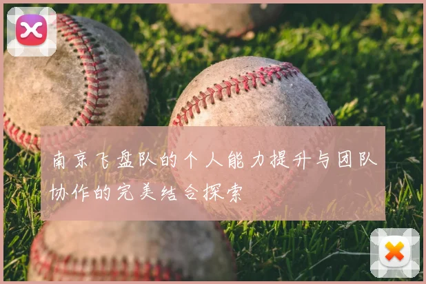 南京飞盘队的个人能力提升与团队协作的完美结合探索