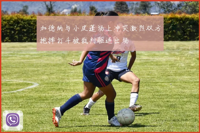 加德纳与小皮蓬场上冲突激烈双方抱摔打斗被裁判驱逐出场