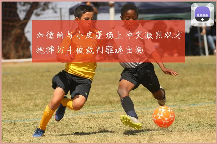 加德纳与小皮蓬场上冲突激烈双方抱摔打斗被裁判驱逐出场