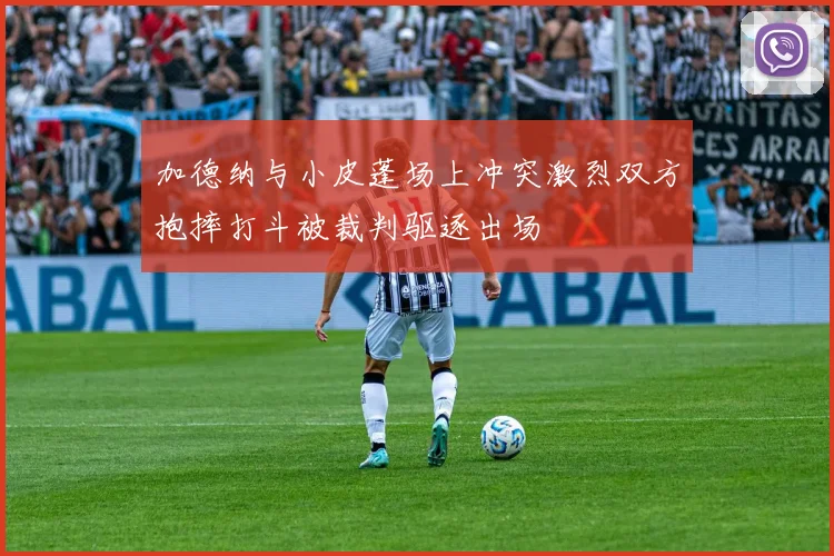 加德纳与小皮蓬场上冲突激烈双方抱摔打斗被裁判驱逐出场
