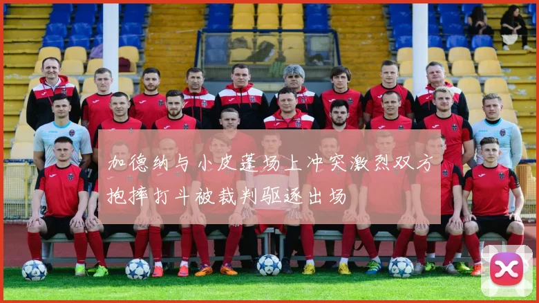 加德纳与小皮蓬场上冲突激烈双方抱摔打斗被裁判驱逐出场