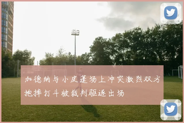 加德纳与小皮蓬场上冲突激烈双方抱摔打斗被裁判驱逐出场