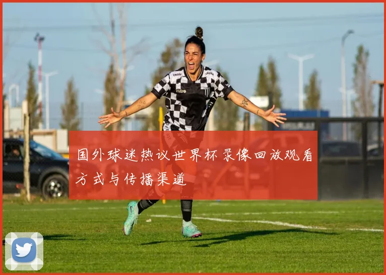 国外球迷热议世界杯录像回放观看方式与传播渠道