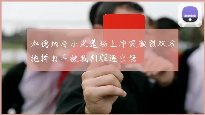 加德纳与小皮蓬场上冲突激烈双方抱摔打斗被裁判驱逐出场
