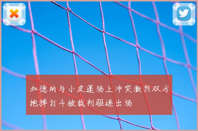 加德纳与小皮蓬场上冲突激烈双方抱摔打斗被裁判驱逐出场