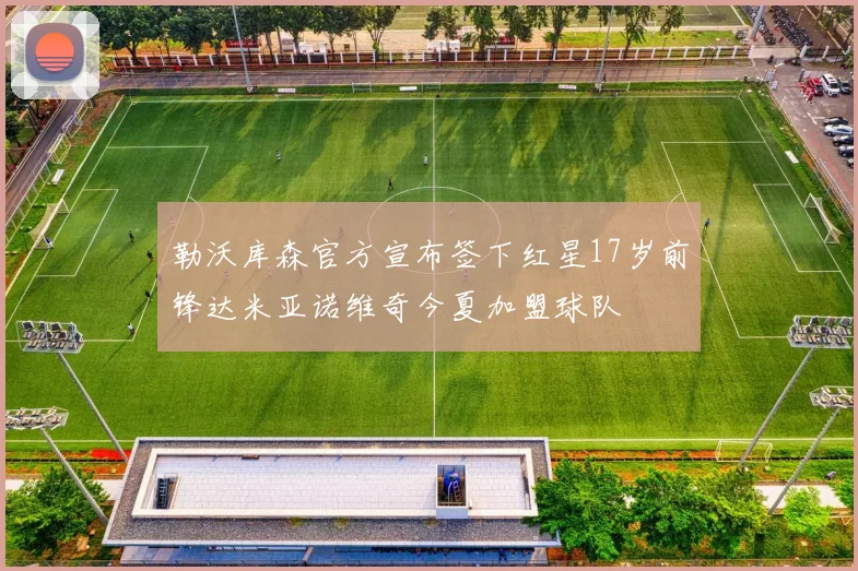 勒沃库森官方宣布签下红星17岁前锋达米亚诺维奇今夏加盟球队