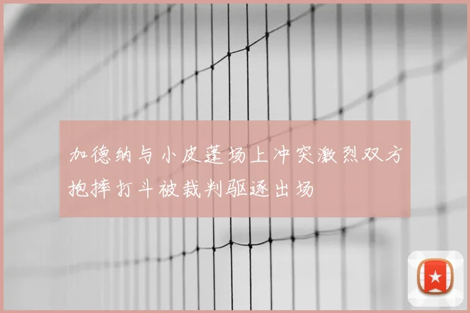 加德纳与小皮蓬场上冲突激烈双方抱摔打斗被裁判驱逐出场