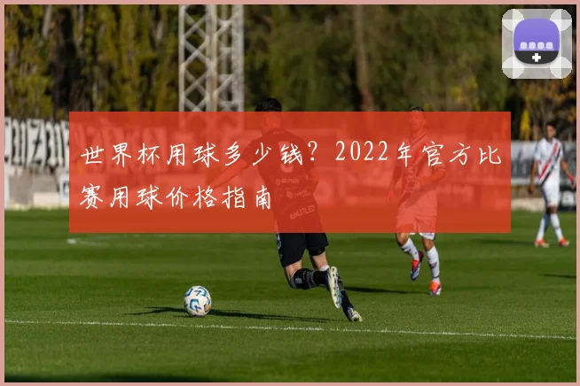 世界杯用球多少钱？2022年官方比赛用球价格指南