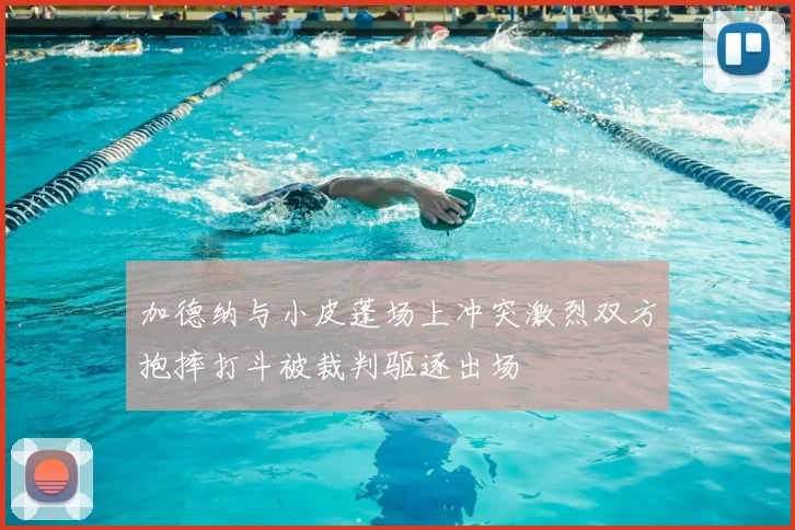 加德纳与小皮蓬场上冲突激烈双方抱摔打斗被裁判驱逐出场