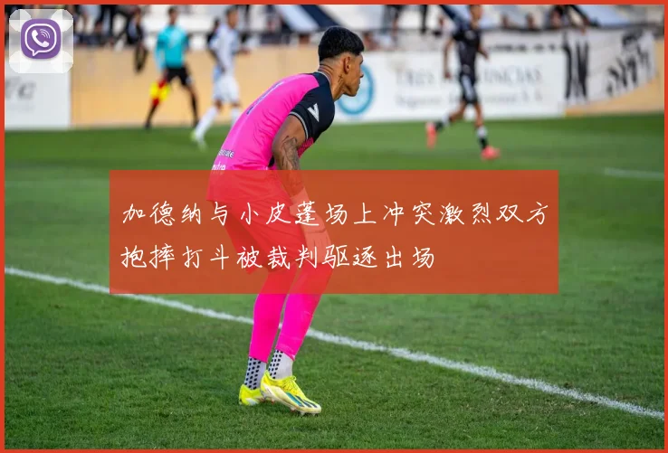 加德纳与小皮蓬场上冲突激烈双方抱摔打斗被裁判驱逐出场