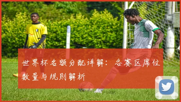 世界杯名额分配详解:各赛区席位数量与规则解析