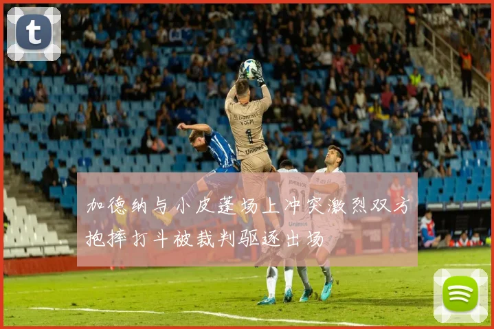 加德纳与小皮蓬场上冲突激烈双方抱摔打斗被裁判驱逐出场