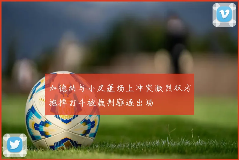 加德纳与小皮蓬场上冲突激烈双方抱摔打斗被裁判驱逐出场