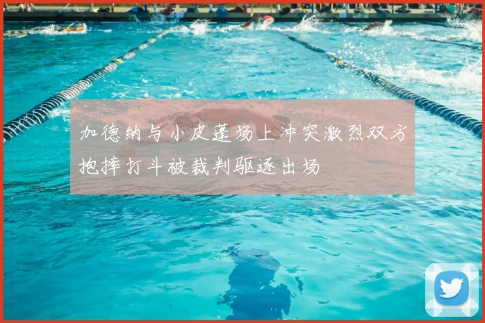 加德纳与小皮蓬场上冲突激烈双方抱摔打斗被裁判驱逐出场