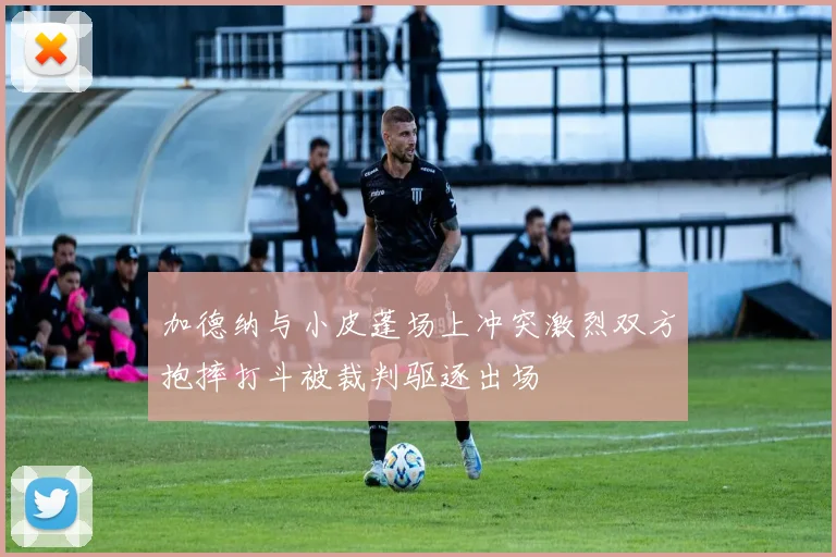 加德纳与小皮蓬场上冲突激烈双方抱摔打斗被裁判驱逐出场