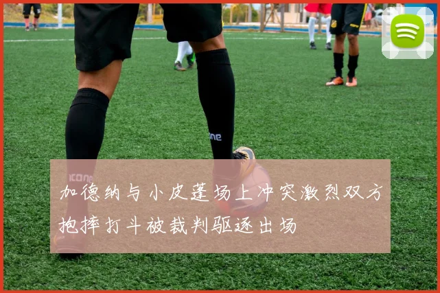 加德纳与小皮蓬场上冲突激烈双方抱摔打斗被裁判驱逐出场