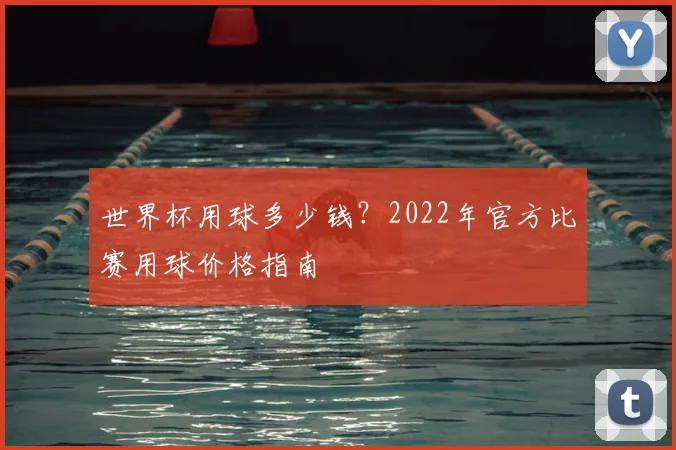 世界杯用球多少钱?2022年官方比赛用球价格指南