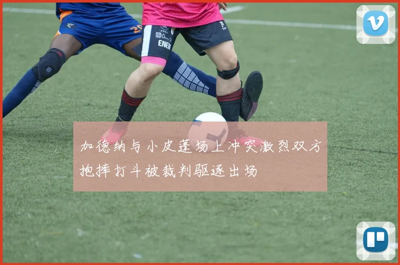 加德纳与小皮蓬场上冲突激烈双方抱摔打斗被裁判驱逐出场