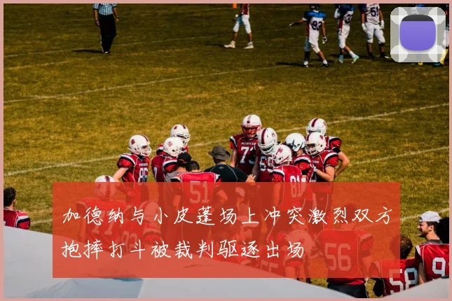 加德纳与小皮蓬场上冲突激烈双方抱摔打斗被裁判驱逐出场
