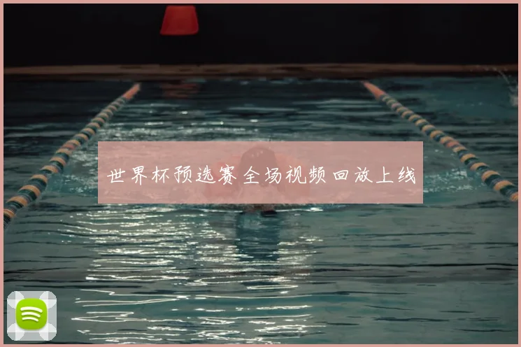 世界杯预选赛全场视频回放上线