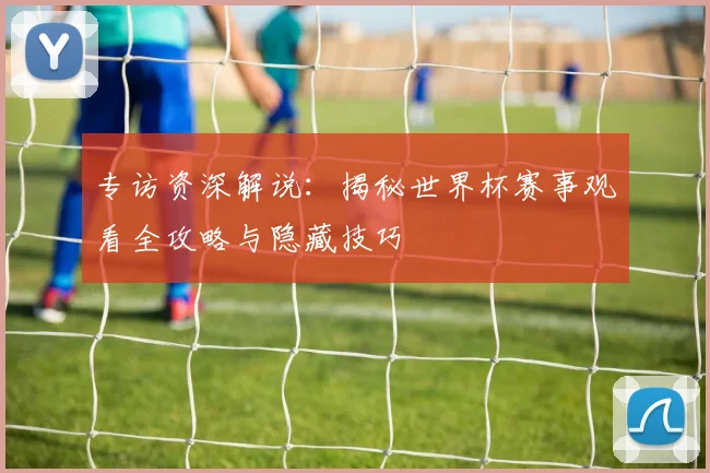 专访资深解说：揭秘世界杯赛事观看全攻略与隐藏技巧