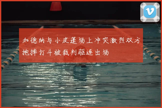 加德纳与小皮蓬场上冲突激烈双方抱摔打斗被裁判驱逐出场