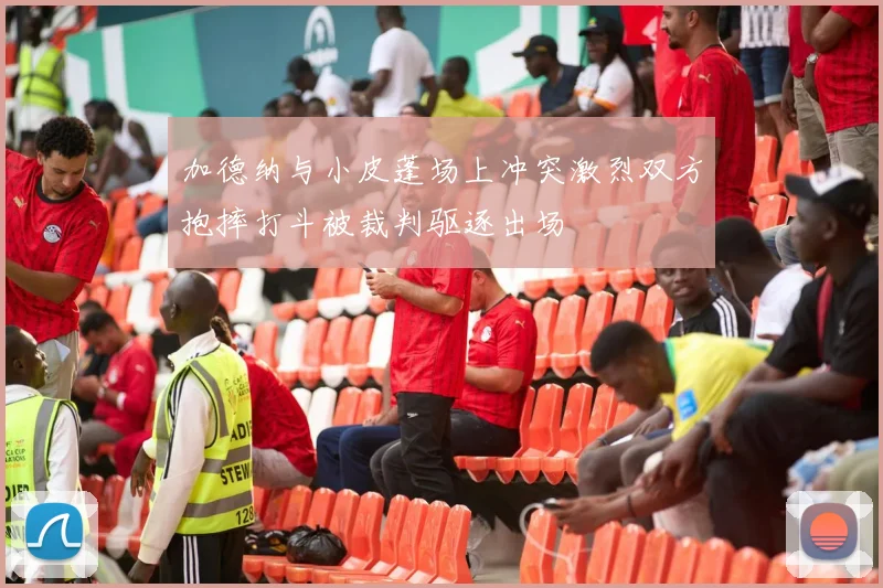 加德纳与小皮蓬场上冲突激烈双方抱摔打斗被裁判驱逐出场