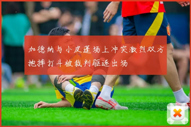 加德纳与小皮蓬场上冲突激烈双方抱摔打斗被裁判驱逐出场