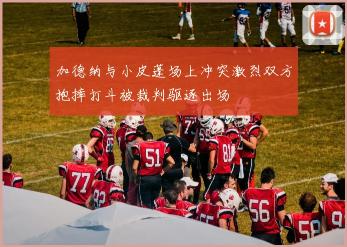 加德纳与小皮蓬场上冲突激烈双方抱摔打斗被裁判驱逐出场